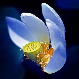 《暗黑破坏神4》第八赛季延期 将需要更多时间制作